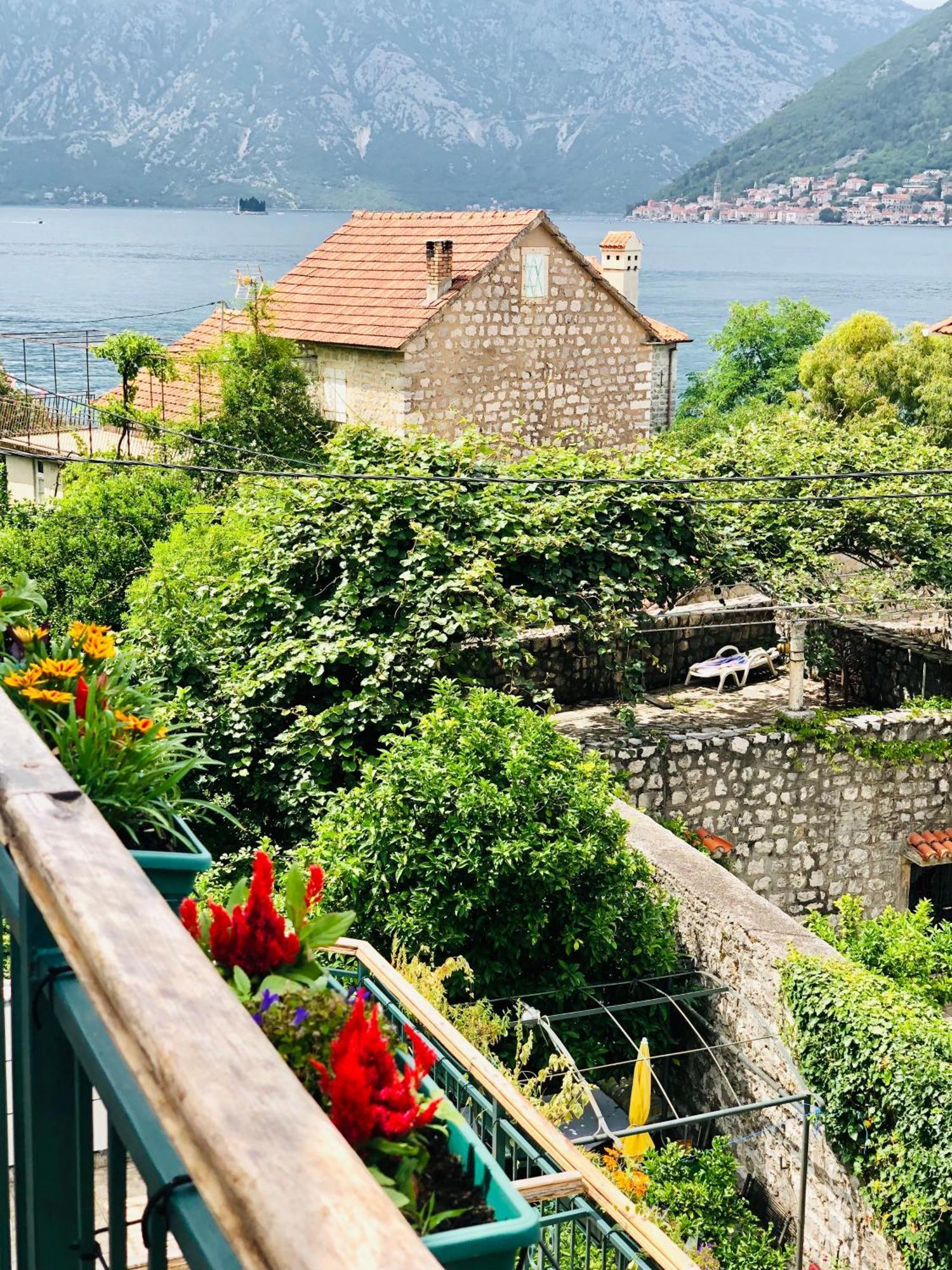 Apartments Djurovic Kotor Oda fotoğraf