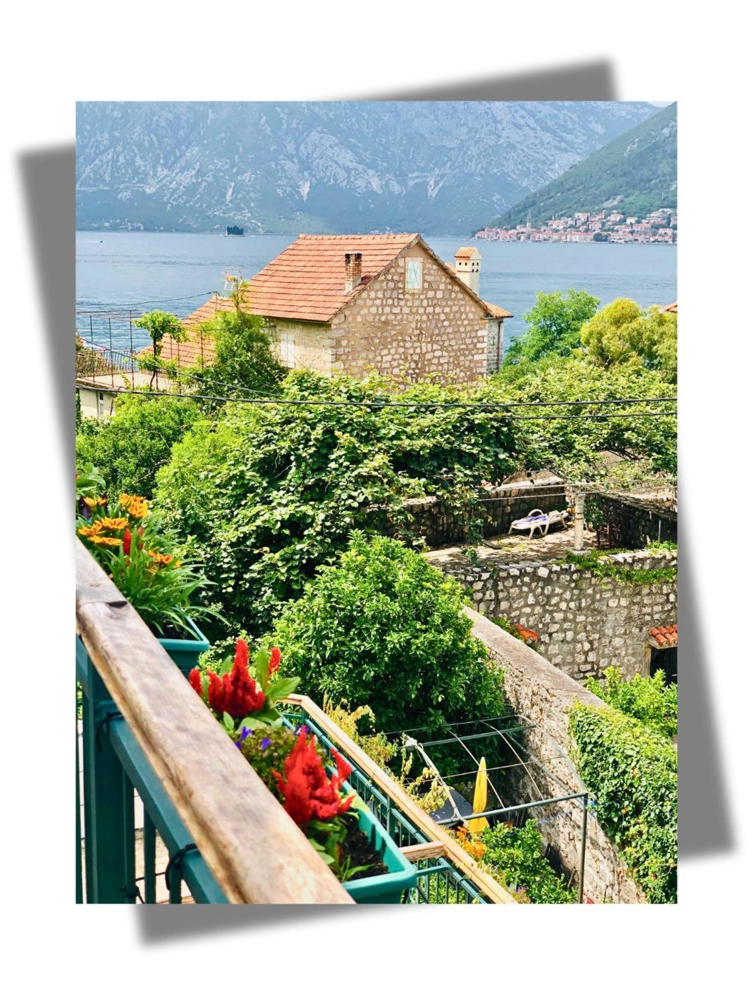 Apartments Djurovic Kotor Dış mekan fotoğraf